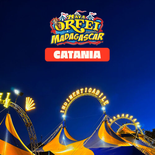 Circo Madagascar a Catania dal 13 novembre al 20 dicembre