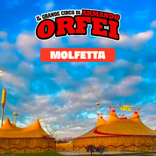 Circo Armando Orfei a Molfetta dal 16 al 25 ottobre