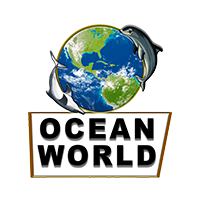 Ocean World – la mostra viaggiante